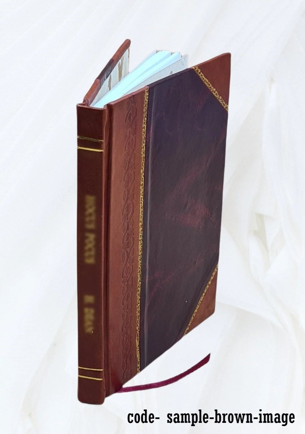 1934 [Leather Bound]. Brown; a new lease on life. Rescue from chaos, by J.B