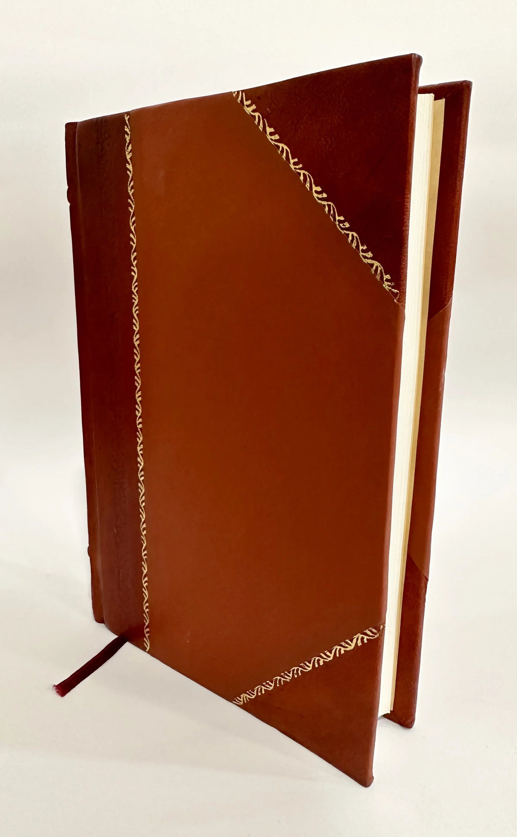 Home Geography for Primary Grades / Harold Wellman Fairbanks (1902) (1902) [Leather Bound]