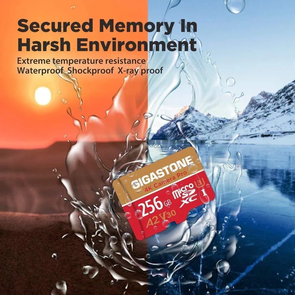 Gigastone 256GB Micro SD Card, 4K Video Recording, 4K Camera Pro, matching with Nintendo Switch, Dash Cam, GoPro Cameras, R/W up to 100/50 MB/s, Micro SDXC UHS-I A1 V30 Class 10, 2 Pack (2x256GB)